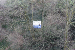 KLASSE THOMAS SCHEIBITZ