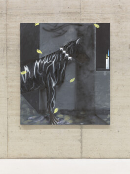 KLASSE THOMAS SCHEIBITZ