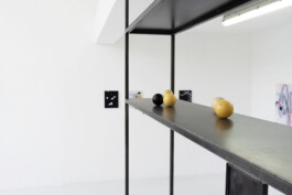 KLASSE THOMAS SCHEIBITZ