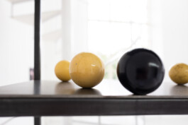 KLASSE THOMAS SCHEIBITZ