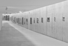 KLASSE THOMAS SCHEIBITZ