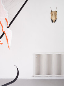 KLASSE THOMAS SCHEIBITZ