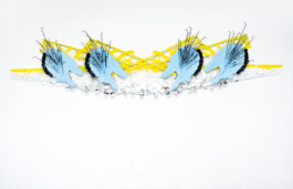 KLASSE THOMAS SCHEIBITZ