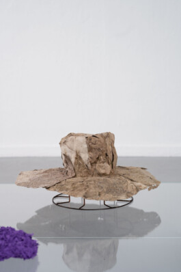 KLASSE THOMAS SCHEIBITZ