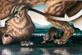 KLASSE THOMAS SCHEIBITZ