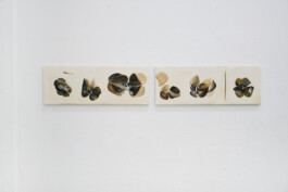 KLASSE THOMAS SCHEIBITZ