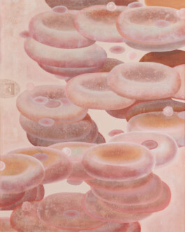 KLASSE THOMAS SCHEIBITZ