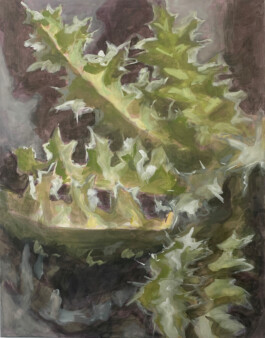 KLASSE THOMAS SCHEIBITZ