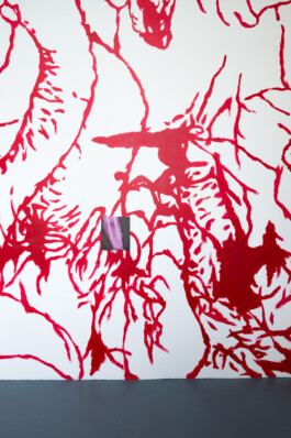 KLASSE THOMAS SCHEIBITZ